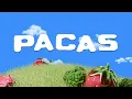 Kevin AMF, Fend - Pacas (Lyric Video)