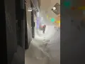 Did winter just open a portal