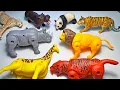 Download Lagu 12 Transforming Animals - Lion, Tiger, Elephant, Jaguar, Elephant, Rhino, Bear, Zebra, Giraffe