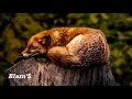 「Nightcore」 Blam'S - Oh Bitch