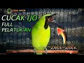 Download Lagu 🔴 MASTERAN CUCAK IJO || FULL ISIAN PELATUK NO NGUKLUK NO NGERIWIK