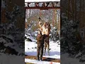 Download Lagu Siberian tiger is truly magnificent