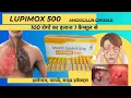 Lupimox 500mg capsule use in Hindi Amoxicillin Dose or Side effect