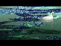 Le Carnaval des Animaux : Ep. XIII / Le cygne