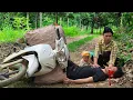 Download Lagu A touching story | poor farmer was lucky to receive help from a kind single mother.\