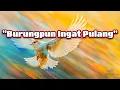 Download Lagu BURUNGPUN INGAT PULANG - Lirik Lagu - Tembang Kenangan - Pop Kenangan Terbaik