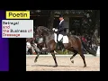 Download Lagu Poetin: The Mare They Sold for Millions—And Sent to Her Death | Dressage’s Darkest Scandal
