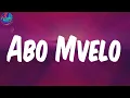 (Lyrics) Abo Mvelo (feat. Mellow & Sleazy & M.J) - Daliwonga