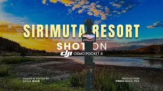 A Little Escape Along the Magi Highway 🌿🌊 | Shot on Osmo Pocket 4
