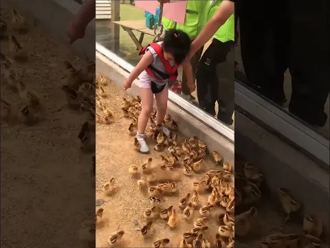 Security guard placed the little girl among the chicks.