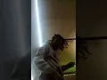 Zip Working On 5Leaf