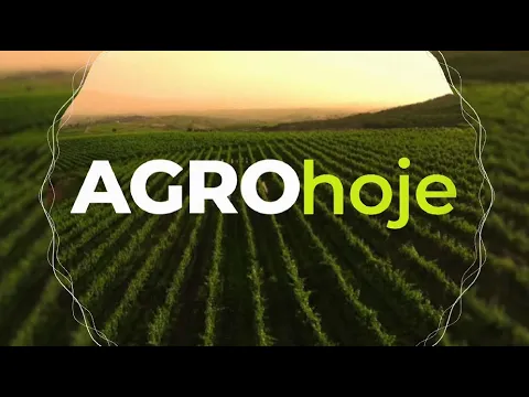 Agro Hoje: projeto do governo do estado incentiva agricultores a plantar cereais de inverno