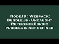 NodeJS Webpack Bundle js - Uncaught ReferenceError process is not defined