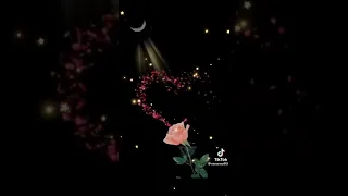 وليد توفيق   أبوكي مين دندنها