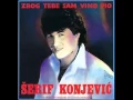 Serif Konjevic - Zbog tebe sam vino pio - (Audio)