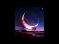 [𝑷𝒍𝒂𝒚𝒍𝒊𝒔𝒕] Jung Seung Hwan (정승환) - Chronicle (연대기)