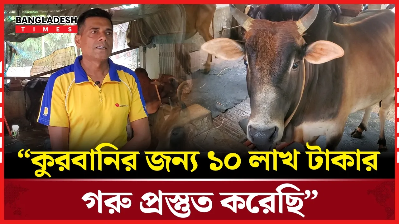 কুরবানির জন্য ১০ লক্ষ টাকার গরু প্রস্তুত করেছেন খামারি রিপন