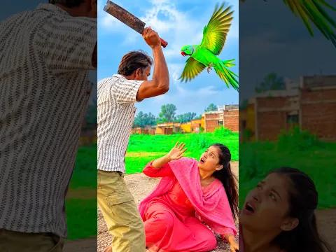 Part-2😭लड़की का बेस्ट तोता 😭#parrot #dosti #viral #video 😍#trending #parrots #shorts #dosti