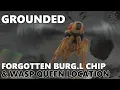 Forgotten BURG L Chip Wasp Queen Location - Grounded