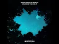 Welcome The Night (Silver Panda feat Sevenn)