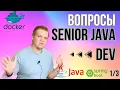 senior java
