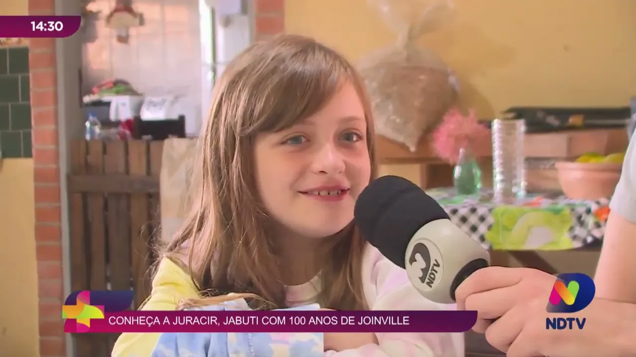 Conheça a Juracir, jabuti com 100 anos de Joinville