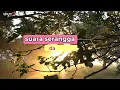 Download Lagu Musik Relaksasi suara serangga #janganlupasubscribe