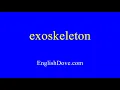 How to pronounce exoskeleton in American English