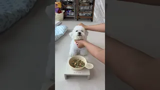       أمي فاجأتني بأجمل هدية                                                                    دندنها
