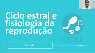 Ciclo Estral das Éguas