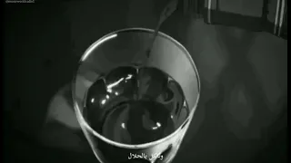 ويجز سكرتى رايحة بينا فين ماشيه بينا كاام حالات واتس 