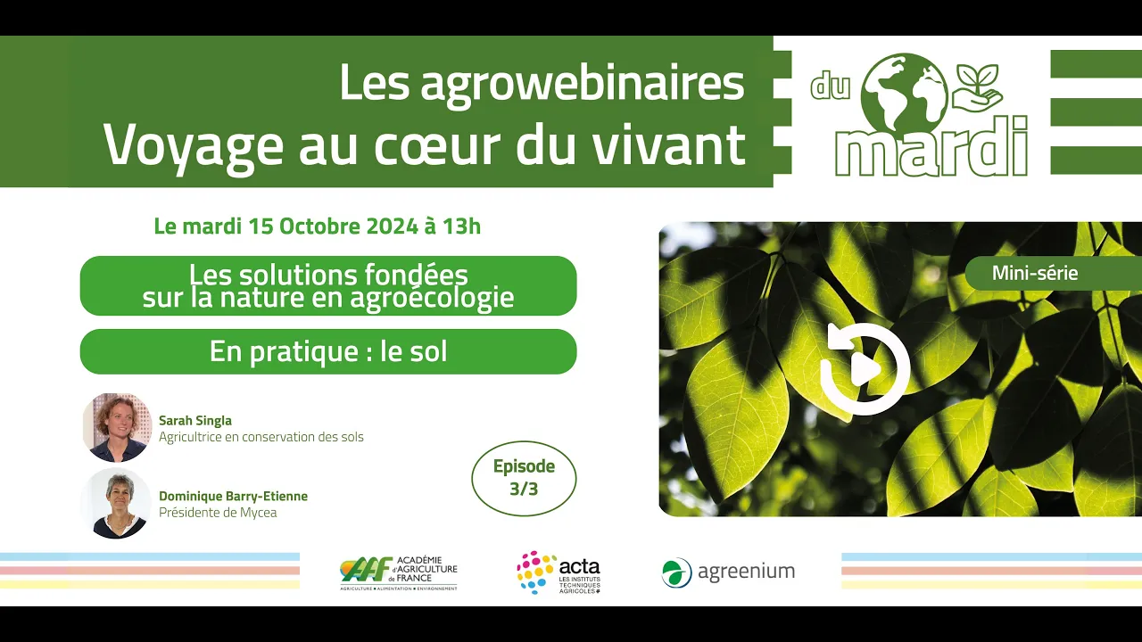 En pratique : le sol  - épisode 3/3