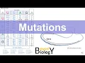 Mutations updated
