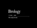 Brology - 6uff