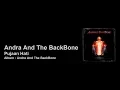 Download Lagu Andra And The BackBone - Pujaan Hati [LIRIK]