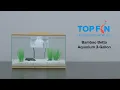 Top Fin Bamboo Betta Tank Setup - 3 Gallon YouTube