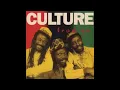 CULTURE  -  BLOOD IN A BABYLON