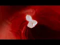 Floating Points - Movement 5: Pandora's Creation (Official Music Video)