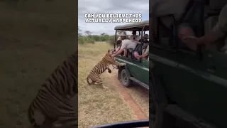 هل يمكنك أن تصدق أن هذا حدث بالفعل 