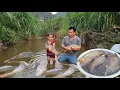 Download Lagu Harvesting natural giant fish from shallow streams and bring it to the market to sell.