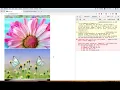 API Request With React ep 6 Implementing The Key Values In List