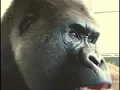 Oliver eats an Apple for 10 hours
