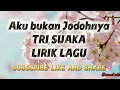 Download Lagu Aku bukan Jodohnya~ Tri Suaka || LIRIK LAGU 