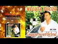Download Lagu NELUTA BUCUR - Frunzulita margarit