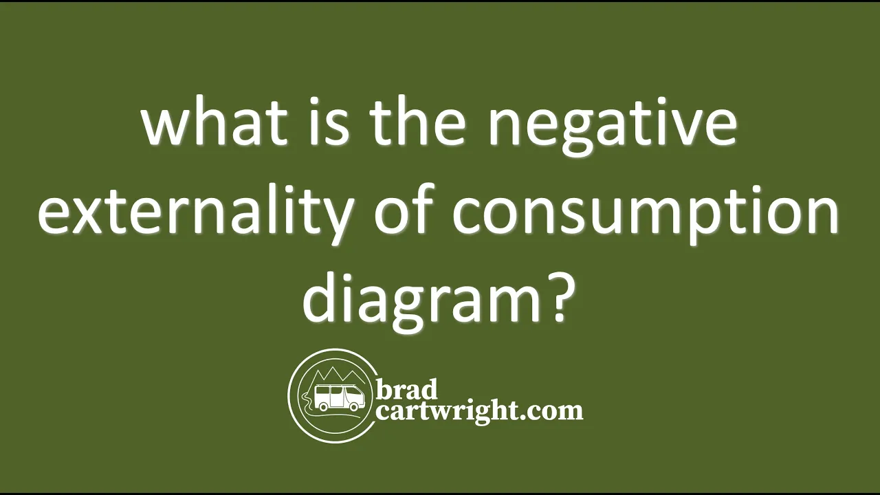 What is The Negative Externality of Consumption Diagram | IB Microeconomics | IB Economics Exam