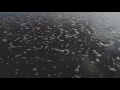 Elderbrook-Difficult To Love (Amtrac Remix)