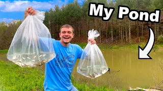 Stocking 3 500 Fish into My Pond