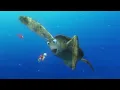Crush and his son Squirt sea turtles scene Finding Nemo 2003