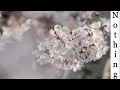 Nateki - Nothing