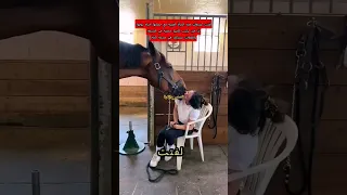 قصة المرأة و الحصان التي صدمت الجميع  قصة المرأة و الحصان التي صدمت الجميع